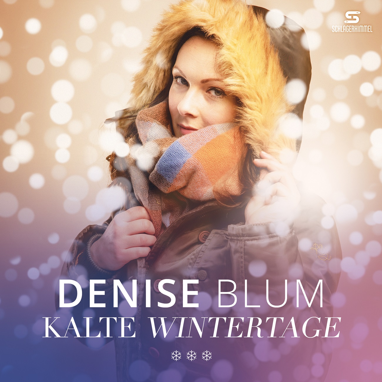 Denise Blum - Kalte Wintertage - Cover 3000.jpg
